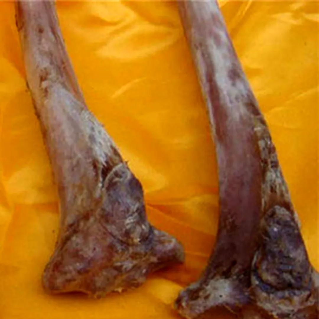 20220513092136_49242