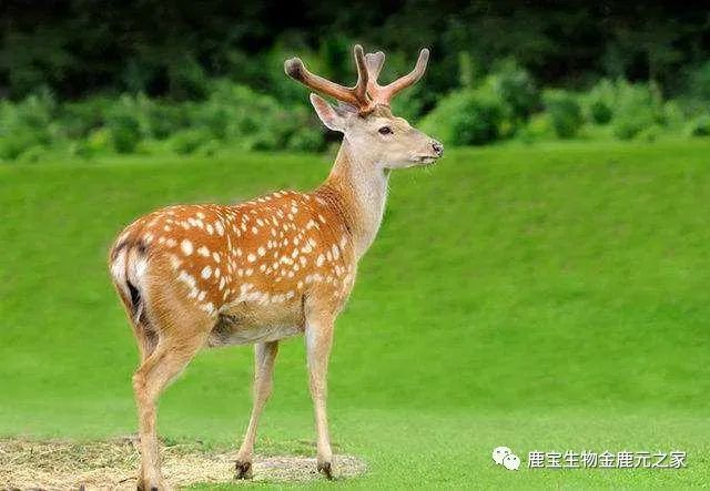 20220513093120_83076