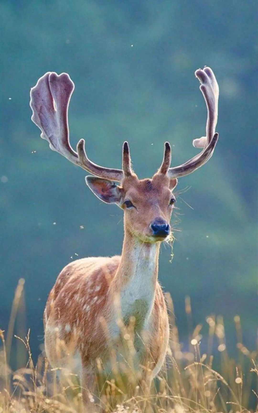 20220513094154_88316